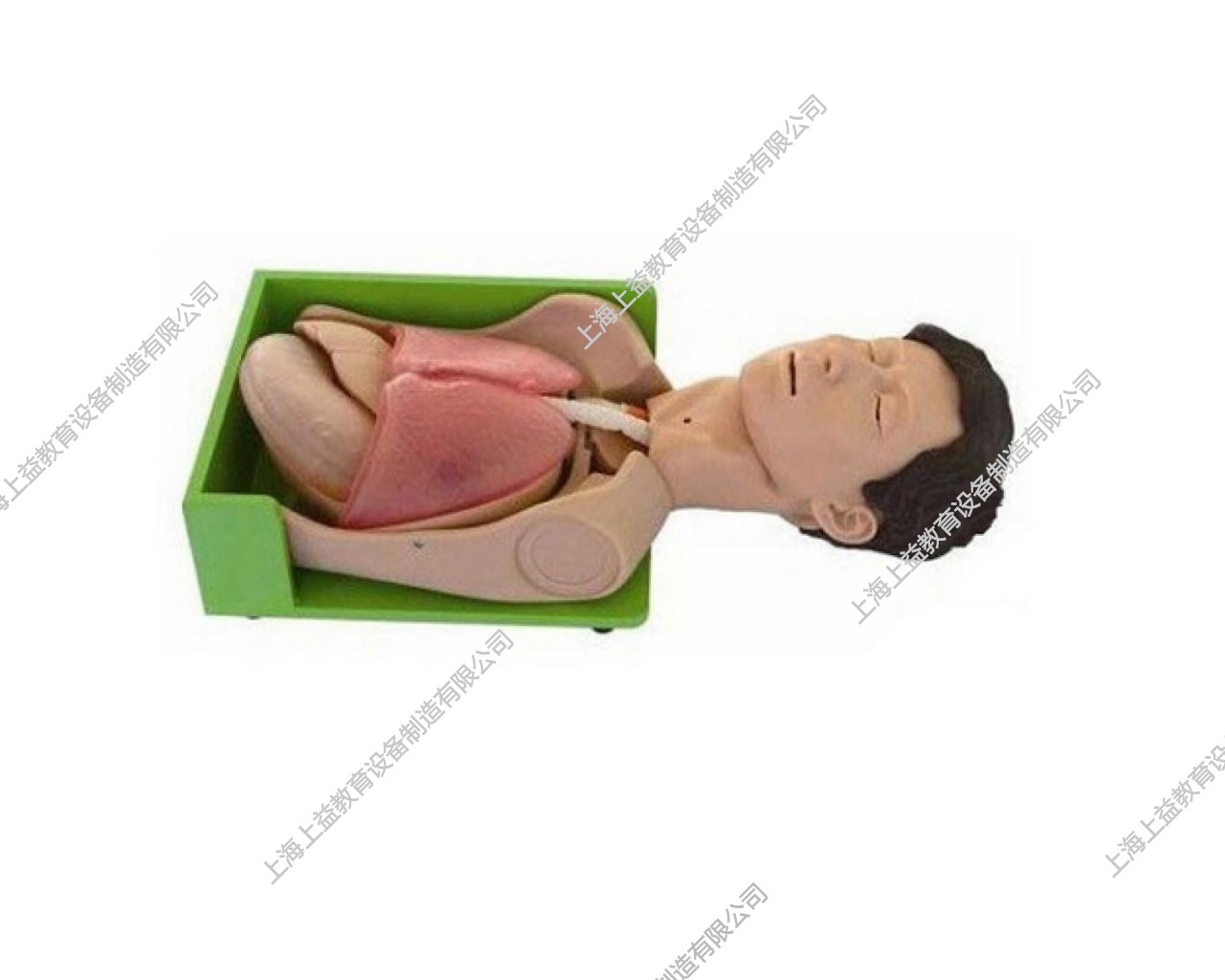 NM2157 透明洗胃、胃腸減壓仿真標(biāo)準(zhǔn)化病人